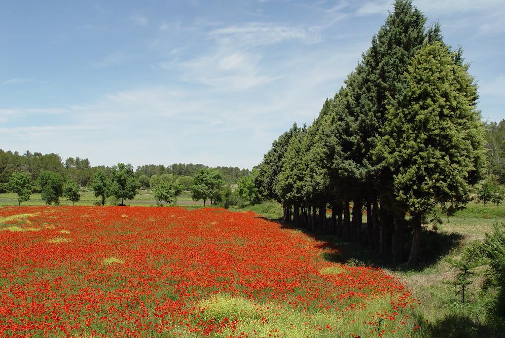 Une Campagne En Provence Bras Dış mekan fotoğraf