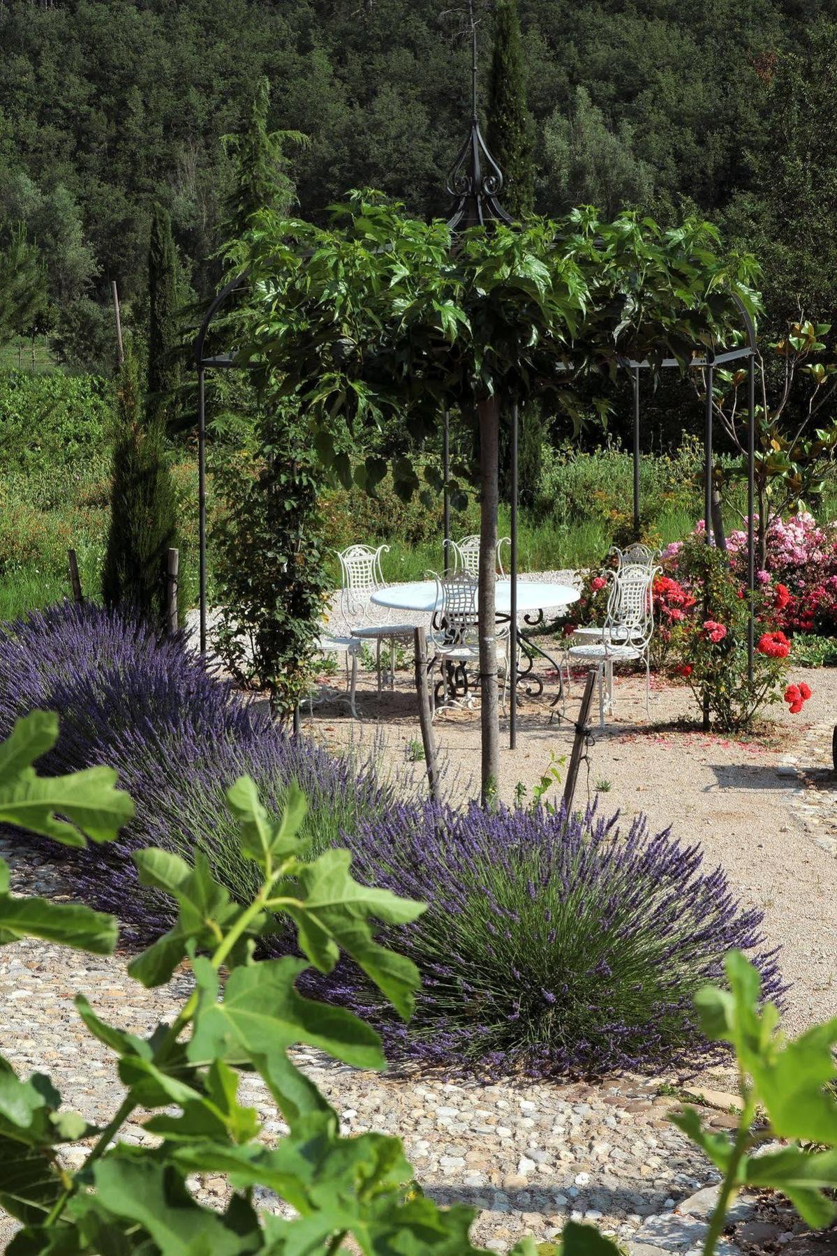 Une Campagne En Provence Bras Dış mekan fotoğraf